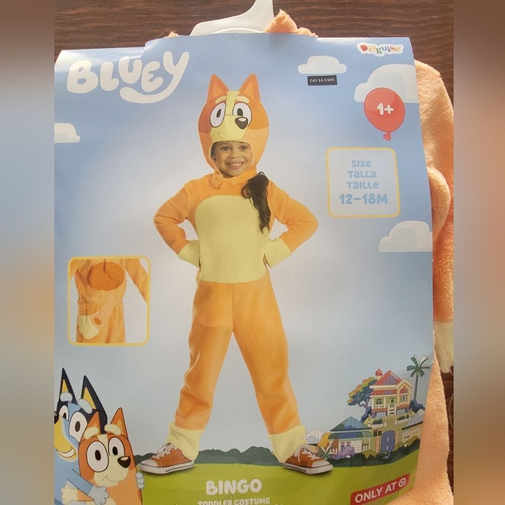 Disguise Bingo Costume